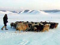 Warming Up in Mongolia
